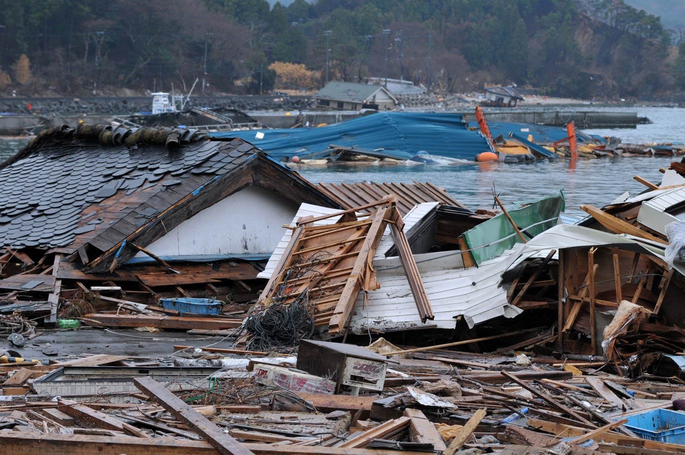 Indonesia - Earthquake and Tsunami 2004 Disaster Relief | International