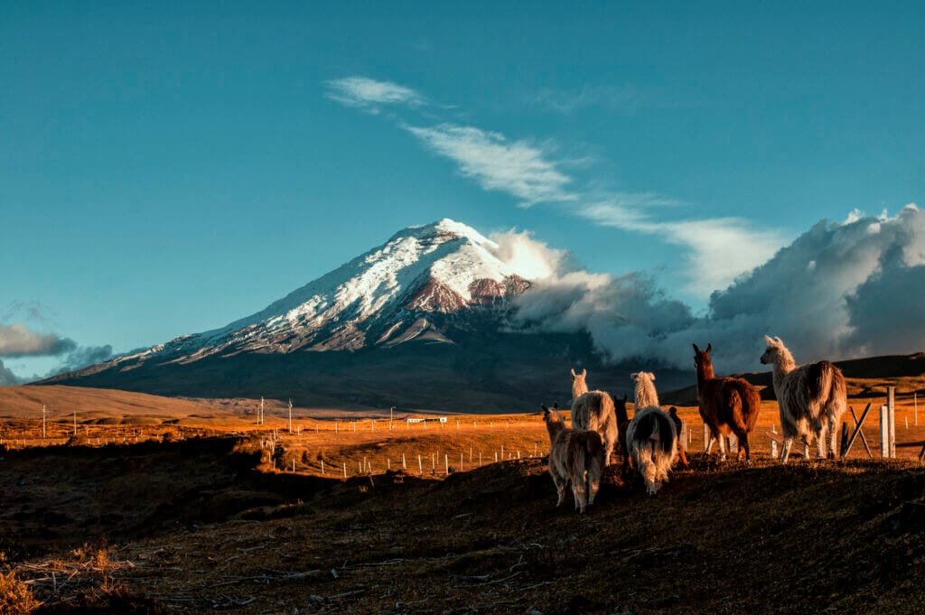 peru