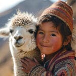 peru lama