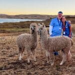 volunteers with lamas in peru