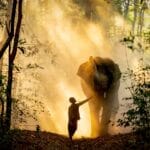 Cambodia