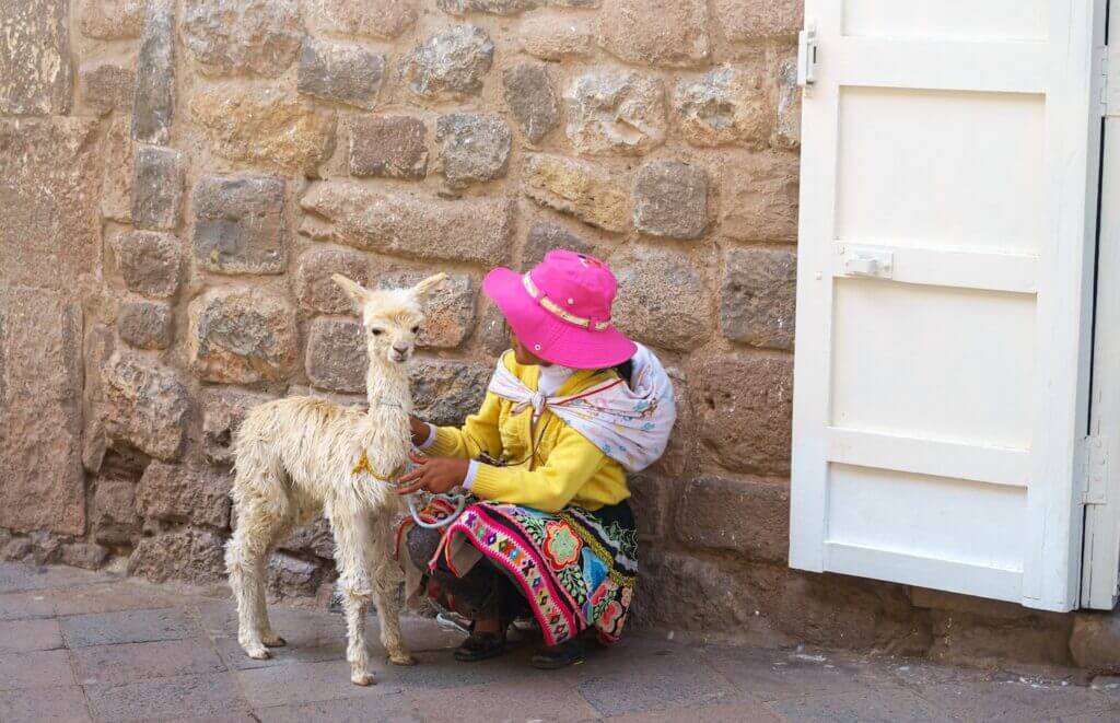 girl with baby llama, cusco peru