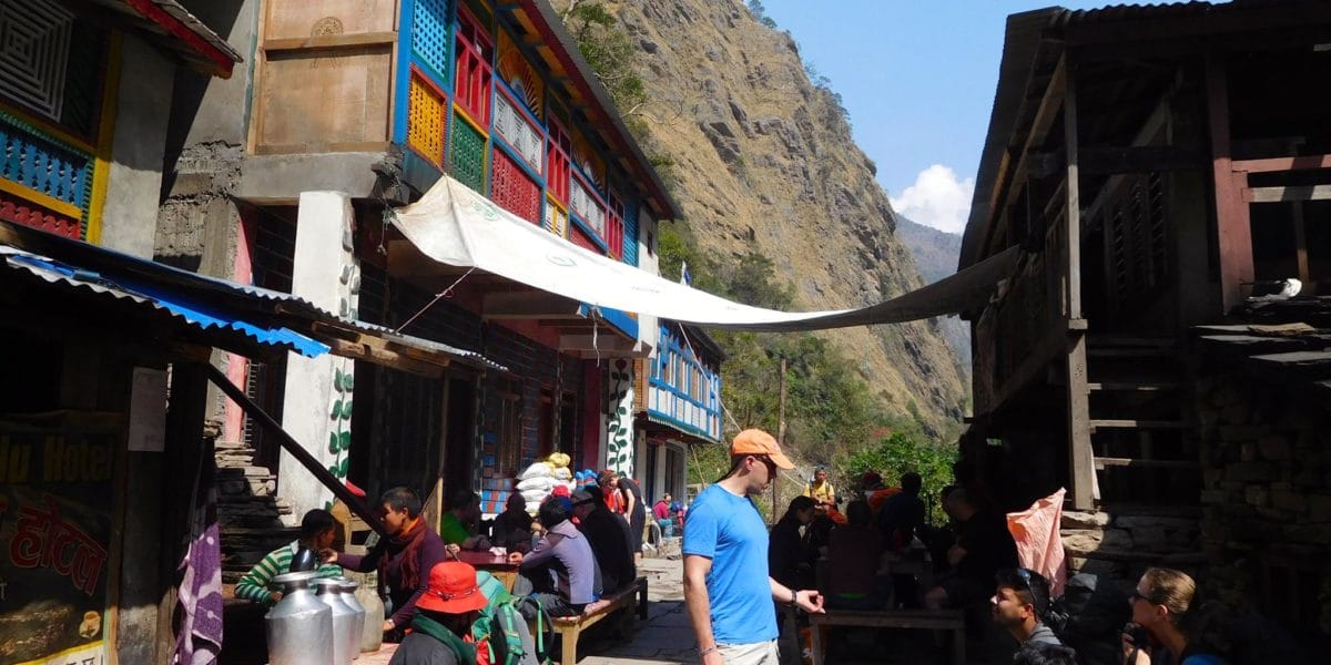 himalayan himalayan