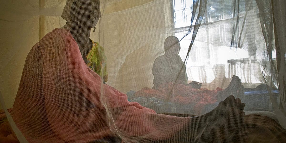 mosquito-netting-2 (1) mosquito-netting-2 (1)